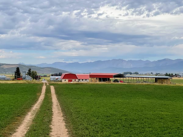 Fields with the farm