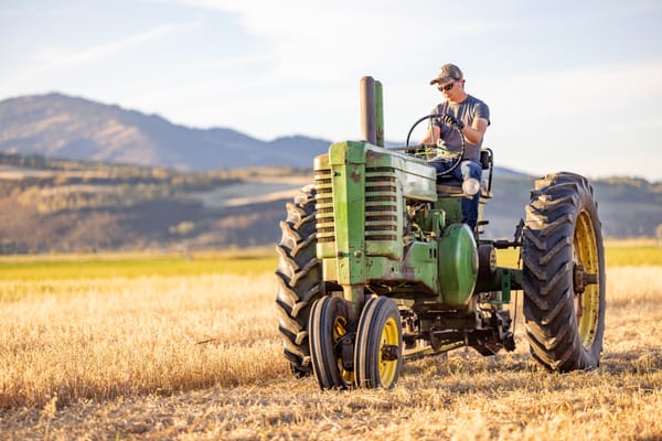Ray on the 1947 John Deere A Mowing Grain Hay