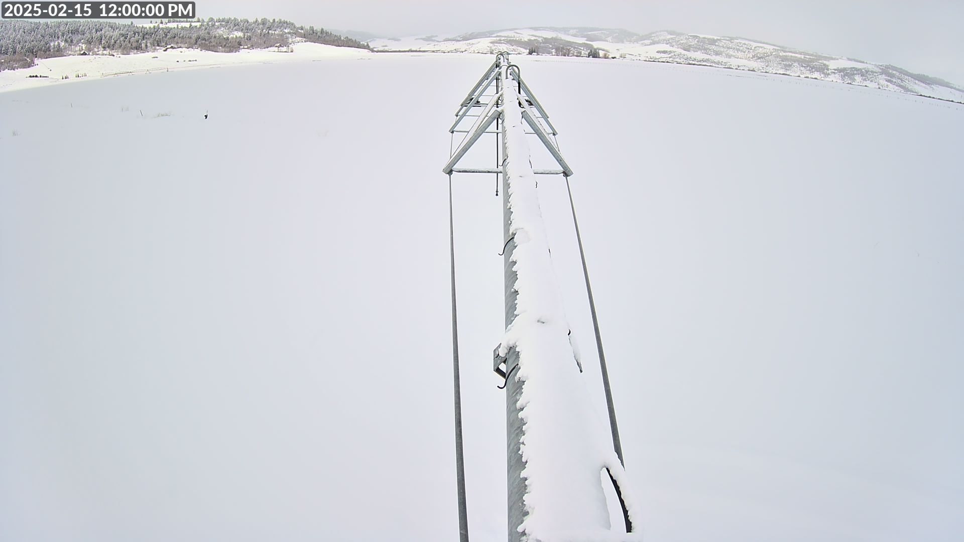 New addition: Weather/Wild Life Camera